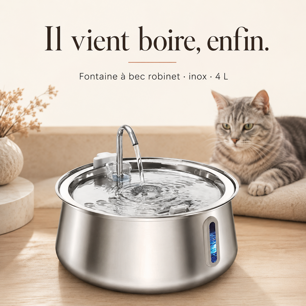 Chat qui boit à la fontaine inox à bec robinet 4 L