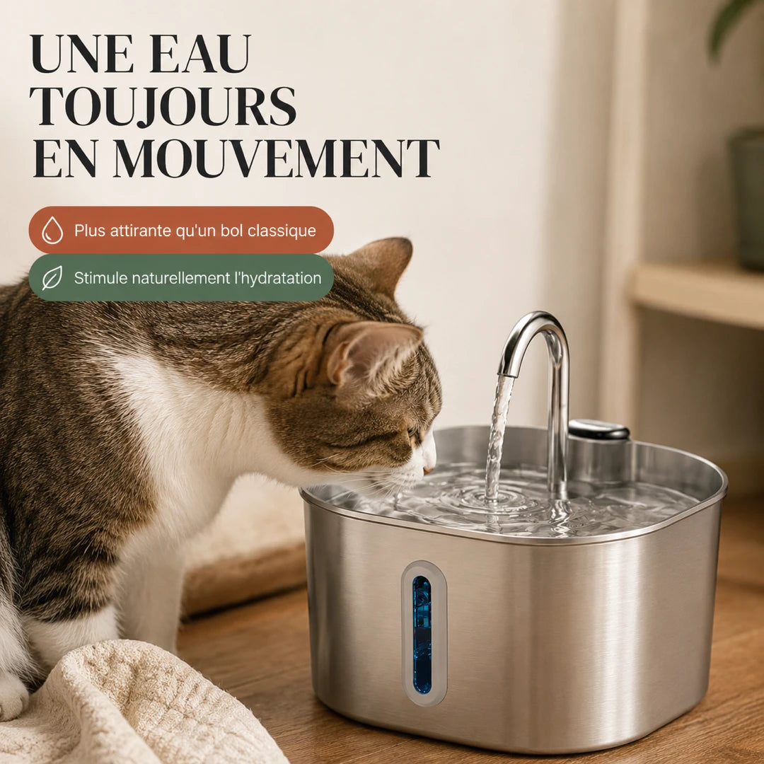 Chat buvant à la fontaine inox bec robinet Image