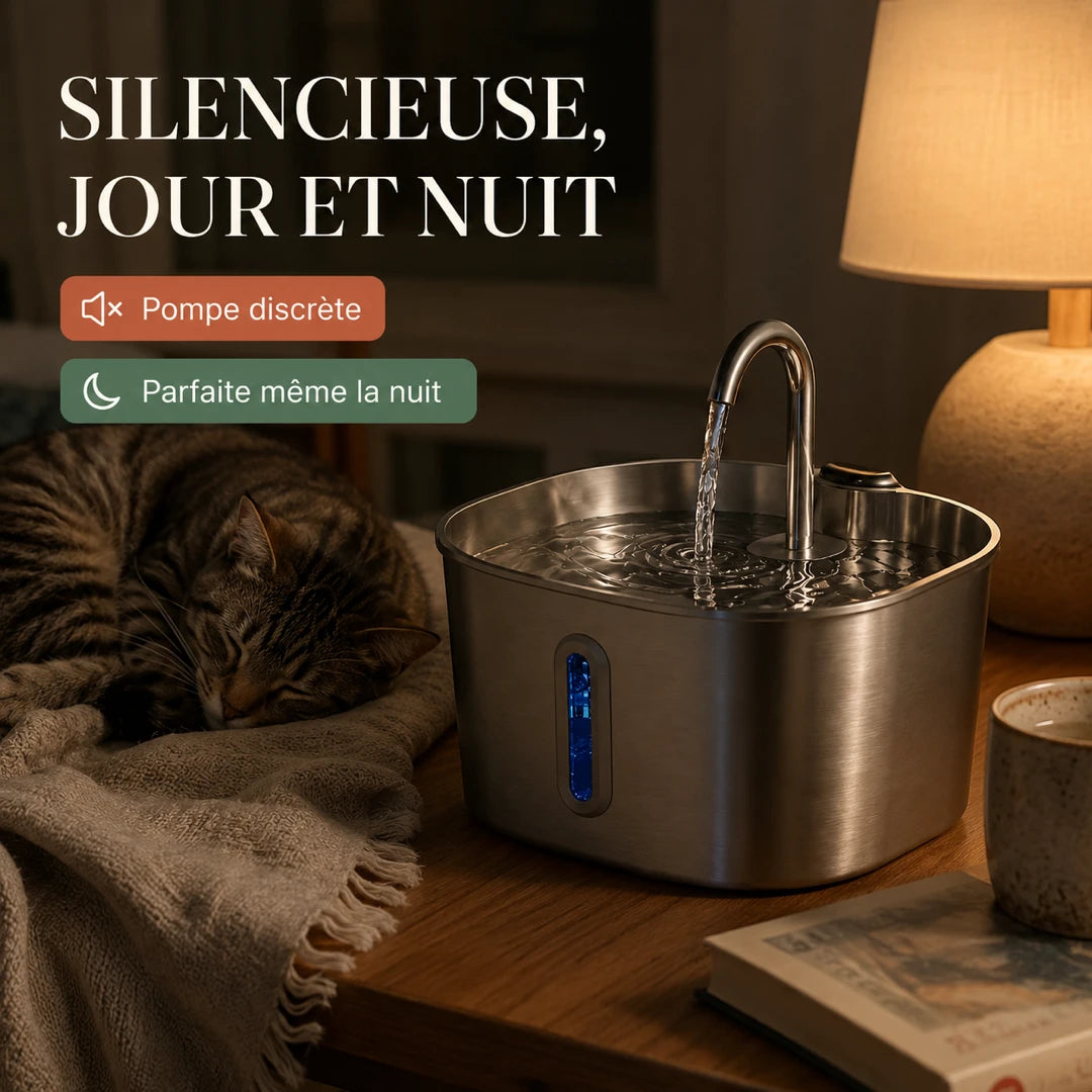 Fontaine inox silencieuse, chat endormi à côté Image