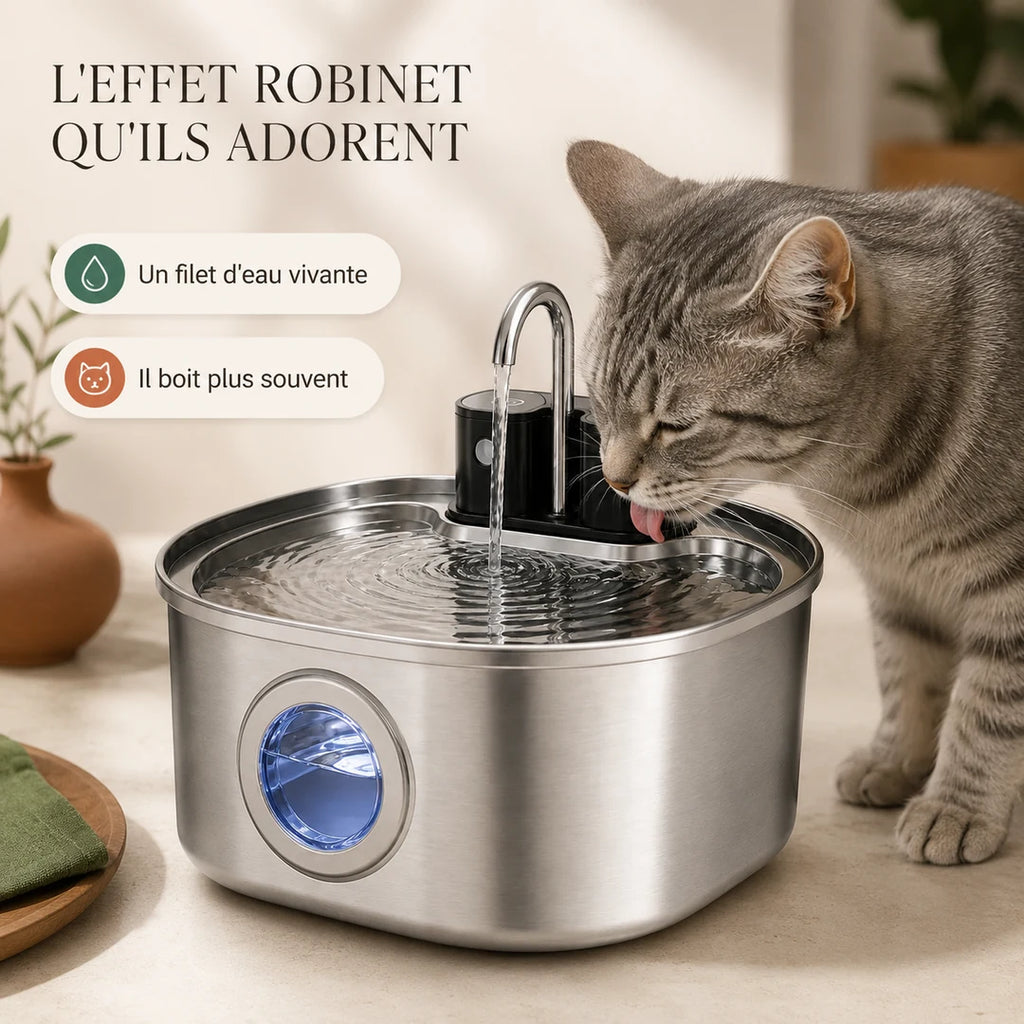 Chat buvant au filet d'eau du bec robinet de la fontaine FlowArc