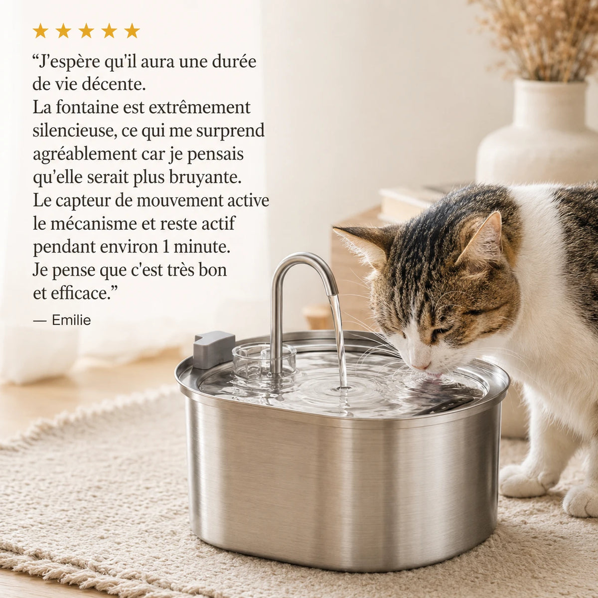 Avis client - chat qui boit à la fontaine Image